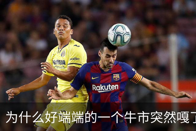 为什么好端端的一个牛市突然嘎了？走成这样子？