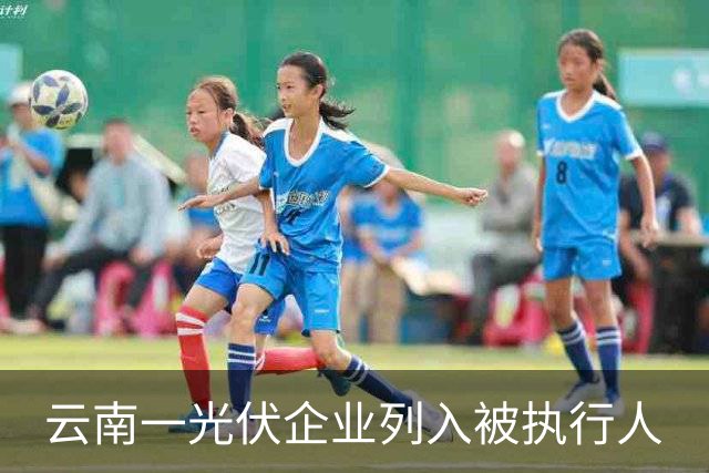 云南一光伏企业列入被执行人