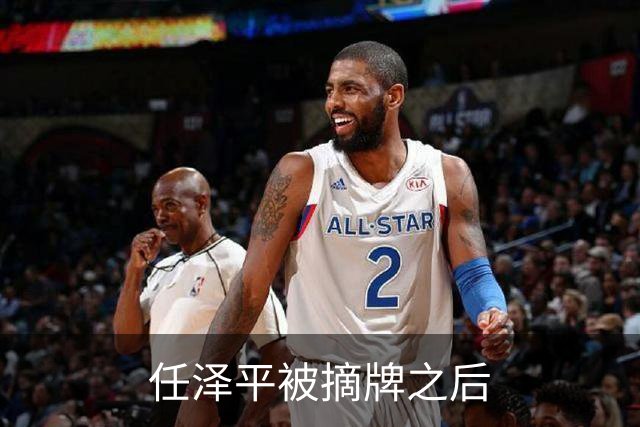 任泽平被摘牌之后