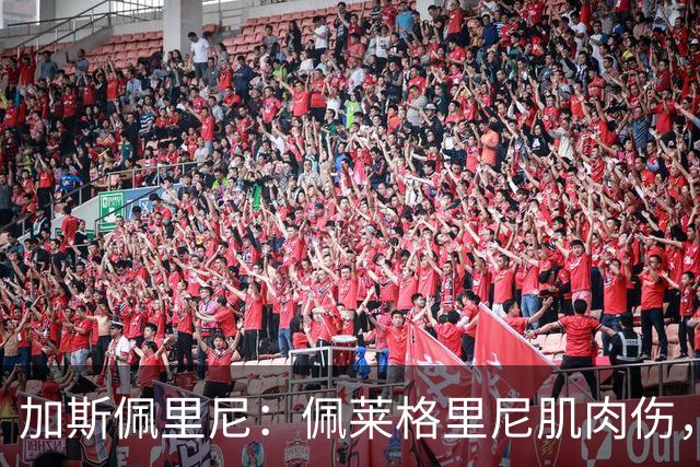 加斯佩里尼：佩莱格里尼肌肉伤，恢复需20天