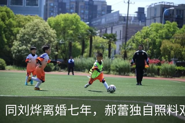 同刘烨离婚七年，郝蕾独自照料双胞胎儿子，近况乌镇出现状态极佳