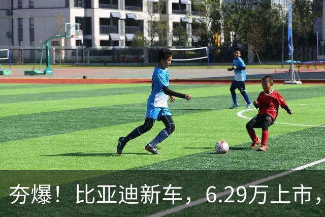 夯爆！比亚迪新车，6.29万上市，硬刚吉利星愿！