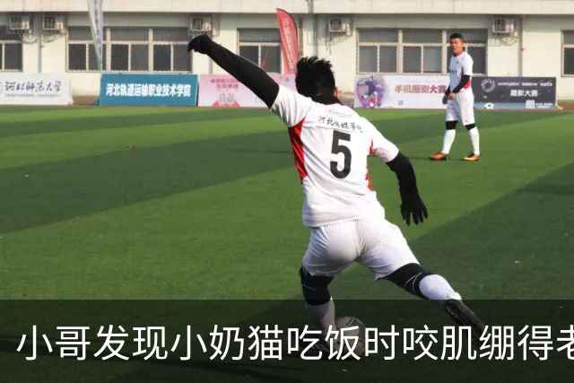 小哥发现小奶猫吃饭时咬肌绷得老紧，以为有什么问题，发帖后被网友集体骂醒：你这是给婴儿啃压缩饼干？