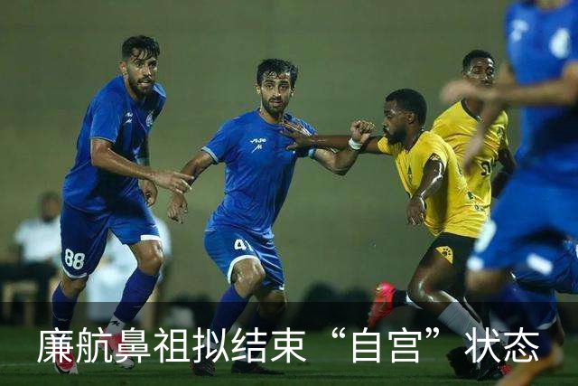 廉航鼻祖拟结束“自宫”状态