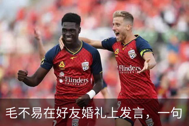 毛不易在好友婚礼上发言，一句“结婚对咱们这个年龄来说，越来越不意味着什么”引争议