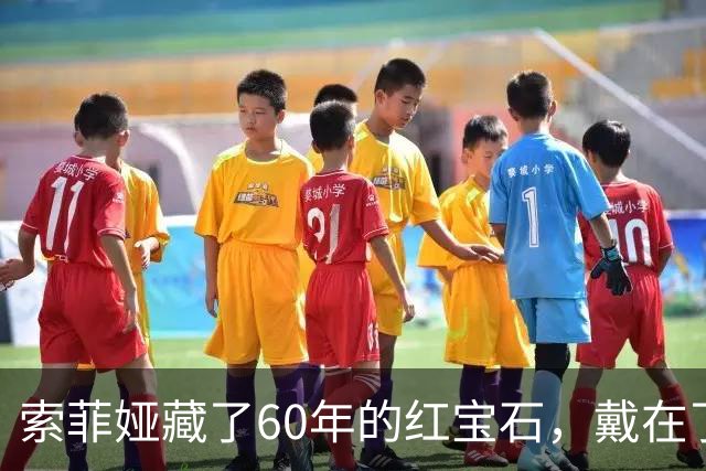 索菲娅藏了60年的红宝石，戴在了20岁王储妃身上，是疼人还是交权？