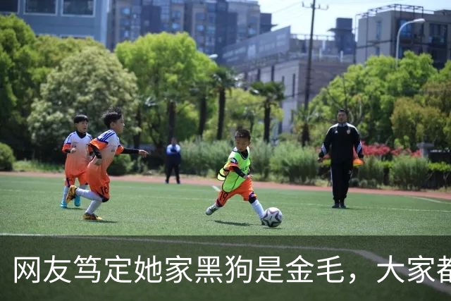 网友笃定她家黑狗是金毛，大家都不信，直到她晒出这张照片……没毛病，是金毛！