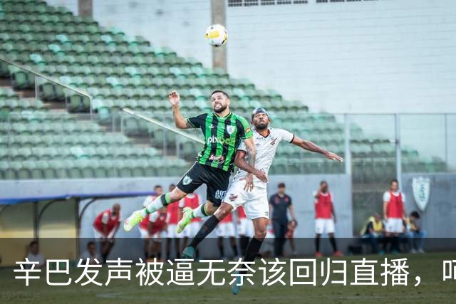 辛巴发声被逼无奈该回归直播，呵斥ks平台搞虚假繁荣
