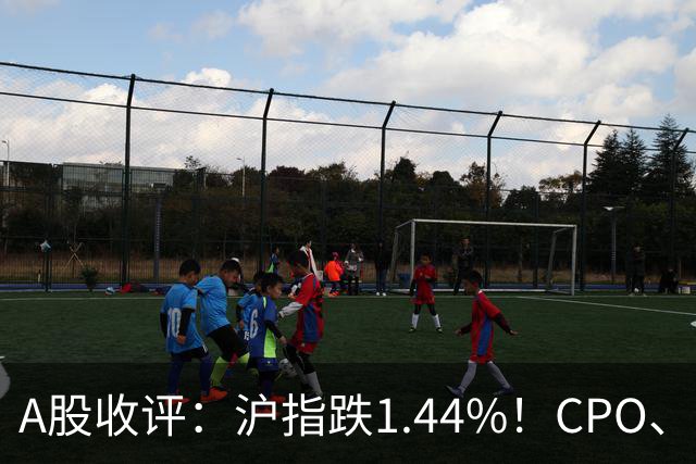 A股收评：沪指跌1.44%！CPO、传媒股集体跳水，白酒逆势飘红