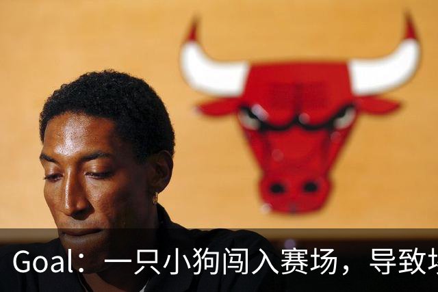 Goal：一只小狗闯入赛场，导致埃及联赛中断